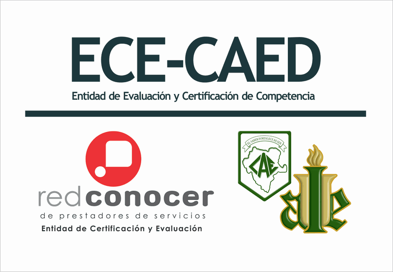 Odoo - Prueba 2 a tres columnas