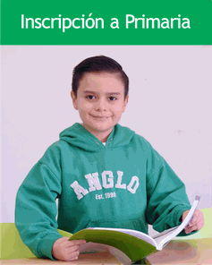 Odoo - Prueba 2 a tres columnas