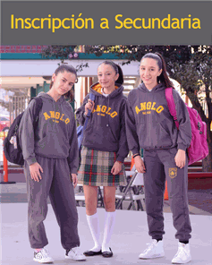 Odoo - Prueba 3 a tres columnas