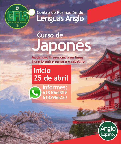 Odoo - Prueba 3 a tres columnas