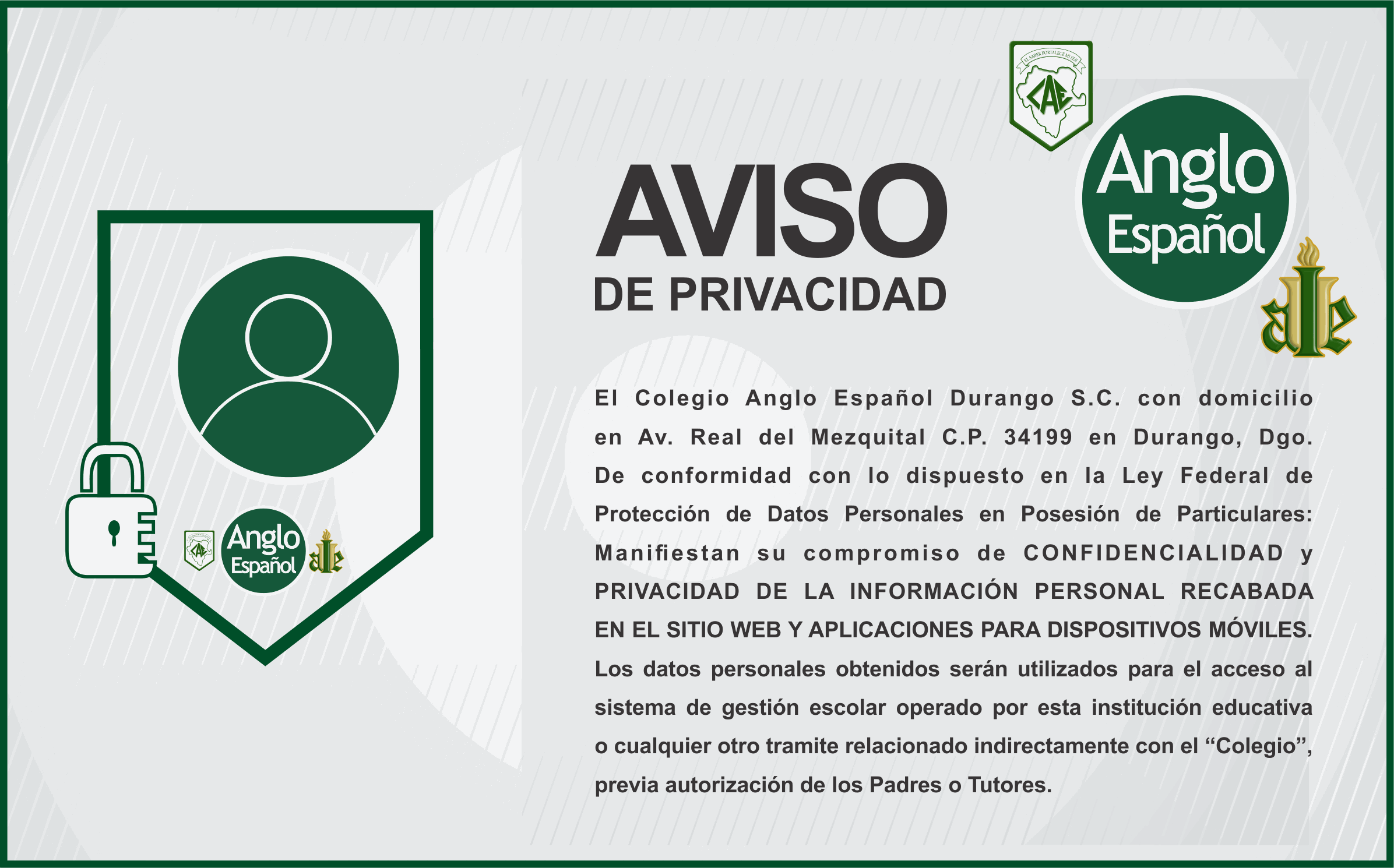 Odoo • Imagen y texto