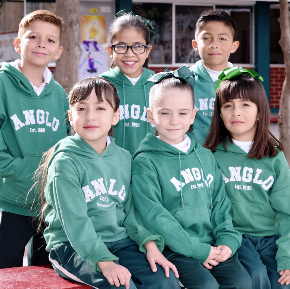 Odoo - Prueba 3 a tres columnas