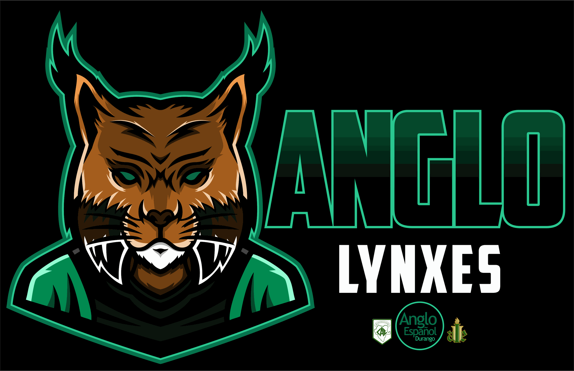 Odoo • Imagen y texto